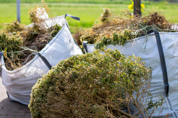 Same-Day Junk Removal Services in Monte Alto, TX